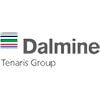 Dalmine